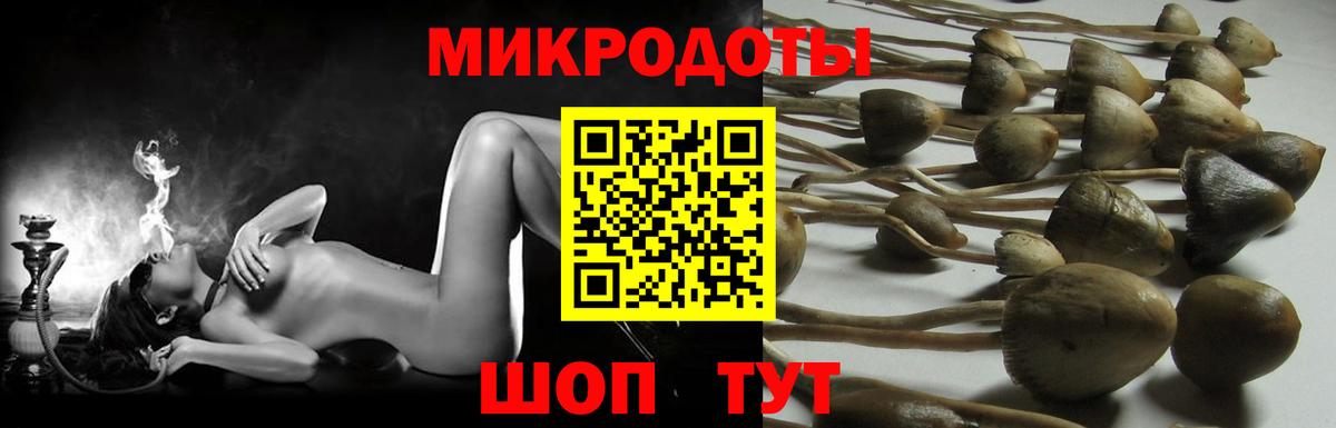 Псилоцибиновые грибы мухоморы Дмитров